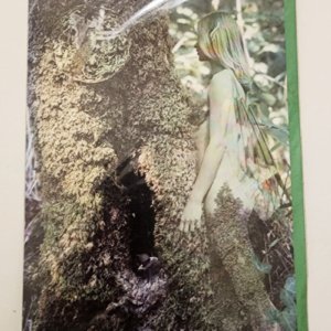 Faerie Card - Merging by Digby Curtis - Image 4