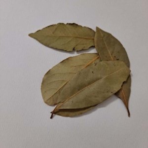 Bay Leaves, 1 oz - Image 4