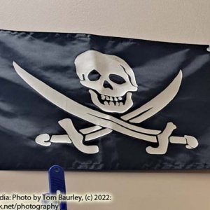 Jolly Rogers Pirate Flag, 39 x 25 x .5 (10 x 16 in) - Image 4