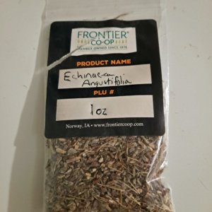 Echinacea angustifolia - c/s, 1 oz - Image 2