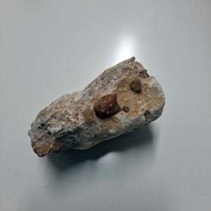Pecos Valley Diamonds in Gypsum Matrix - Image 4