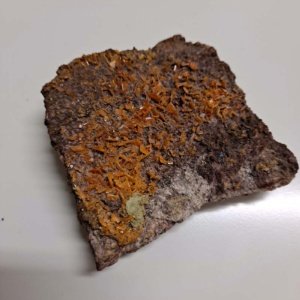 Wulfenite Crystals 2.5 x 2.25 x .5 inches - Image 3