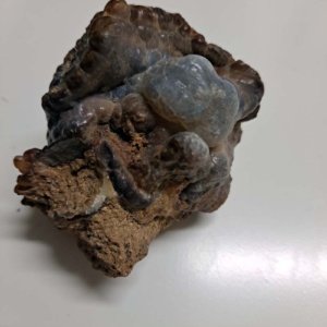 rough raw Fire Opal in matrix - Mexico - 1.75 x 1.5 x 1.5 inches - Image 2