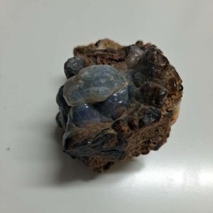 rough raw Fire Opal in matrix - Mexico - 1.75 x 1.5 x 1.5 inches - Image 4