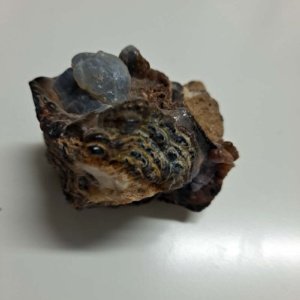 rough raw Fire Opal in matrix - Mexico - 1.75 x 1.5 x 1.5 inches - Image 5