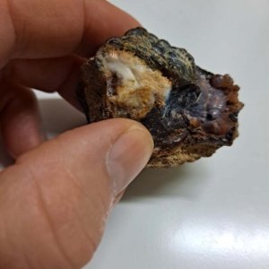 rough raw Fire Opal in matrix - Mexico - 1.75 x 1.5 x 1.5 inches - Image 6