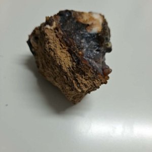 rough raw Fire Opal in matrix - Mexico - 1.75 x 1.5 x 1.5 inches - Image 7