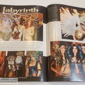 Fae Magazine: Summer 2014 Issue - Image 8