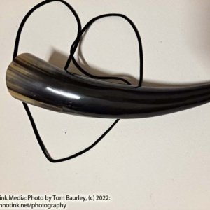 Small Kid's Viking Blowing Horn 8.5x2.5x2" - Image 4