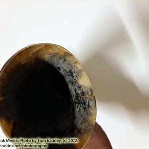 Small Kid's Viking Blowing Horn 8.5x2.5x2" - Image 6