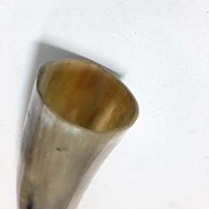 Large Tan white Polished Viking Drinking Horn 14.5x2.5x2.5 - Image 7