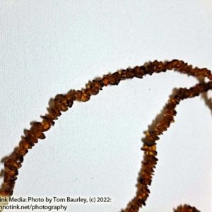 Large strand of dark baltic amber chip beads necklace - Image 4