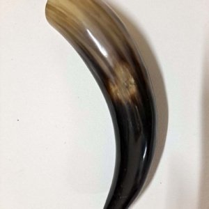 Medium Black an Tan Viking Drinking Horn 10x2.5x2" - Image 3