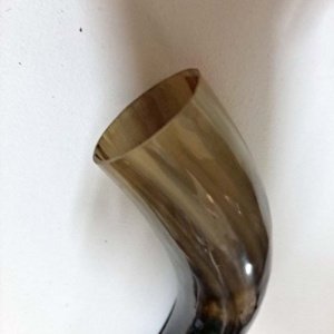 Medium Black an Tan Viking Drinking Horn 10x2.5x2" - Image 5