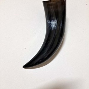 Small Black Drinking Horn 100 ml 8x3x2" - Image 2