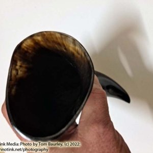 Small Black Drinking Horn 100 ml 8x3x2" - Image 6