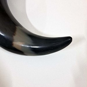 Extra Large, Black and Tan Viking Drinking Horn XL01 - Image 6