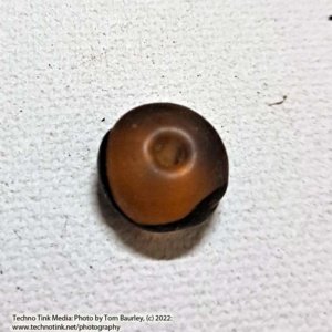 Viking Grave Glass Bead - Replica, Amber Yellow with Black band Oval - Image 3