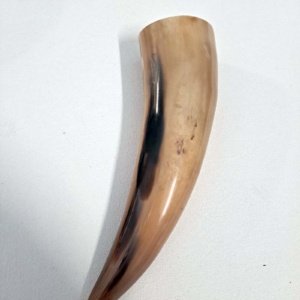 Tan or Beige 10-12" Buffalo Drinking Horn, Polished - Image 2