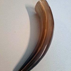 Tan or Beige 10-12" Buffalo Drinking Horn, Polished - Image 6