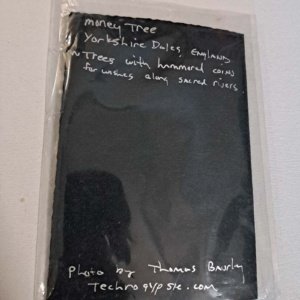 Photo card of money tree trunk Yorkshire Dales by Tom Baurley - Image 3