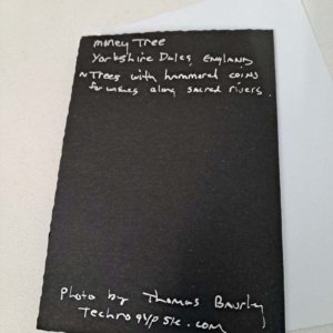 Photo card of money tree trunk Yorkshire Dales by Tom Baurley - Image 6