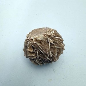 Medium sized Desert Rose (Gypsum Crystals) from New Mexico - Image 5