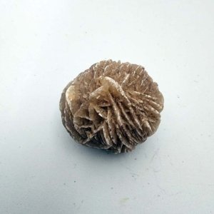 Medium sized Desert Rose (Gypsum Crystals) from New Mexico - Image 6