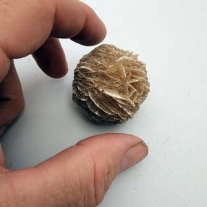 Medium sized Desert Rose (Gypsum Crystals) from New Mexico - Image 10