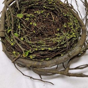 Artificial Bird's Nest Display Craft - Image 3