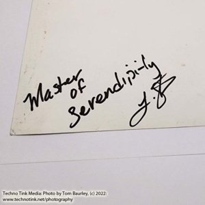 Master of Serendipity Jester Painting - Image 6