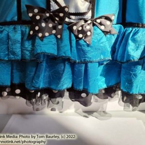 Blue belle Fairy Kids Large Costume 12-14 - Image 5