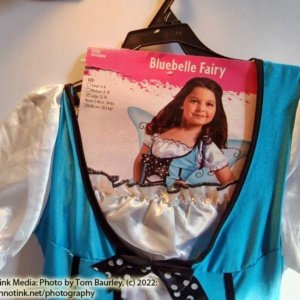 Blue belle Fairy Kids Large Costume 12-14 - Image 8