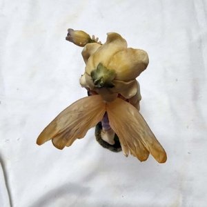 Meadow Fairies Medium Boy Fairy Figurine 5372 - Image 12