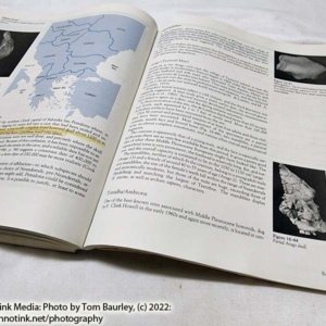 Used Introduction to Physical Anthropology, 4th Edition Textbook Harry Nelson/Robert Jurmain - Image 7
