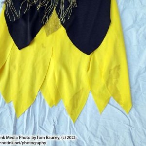 Girls' Bee Fairy Costume size medium 8-10 (no tags, stained) - Image 3