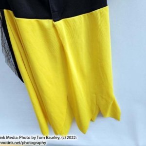Girls' Bee Fairy Costume size medium 8-10 - Image 8