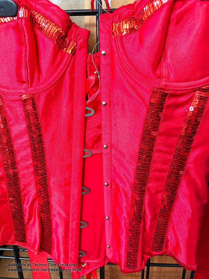 Small Shiny Red Corsette with ribbon and clasps - Image 9