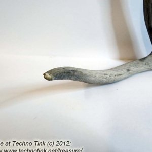 Branched Deer Antler - 2 Branch Y with small tine at base - Image 3