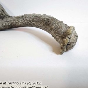 Branched Deer Antler - 3 Branch Y - Image 6