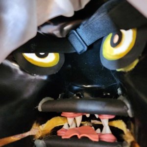 Used Full Face Lion's Head with Mane Mask and moving mouth - Image 7