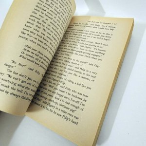 Used Paperback copy of The Magician's Nephew by C.S. Lewis - Image 7