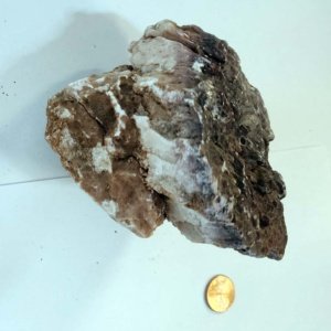 Small chunk of Gypsum with micro crystals growing on it 4" x 3" x 3" - Image 5