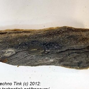 Small Raw piece of Yellowish-tan colored Petrified Wood measuring 7"x2"x1" - Image 2