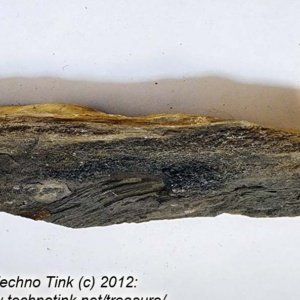 Small Raw piece of Yellowish-tan colored Petrified Wood measuring 7"x2"x1" - Image 3