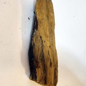 Small Raw piece of Yellowish-tan colored Petrified Wood measuring 7"x2"x1" - Image 8