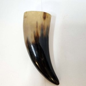 Small tan-black Steer Viking Drinking Horn 6.5-8 inches - Image 2