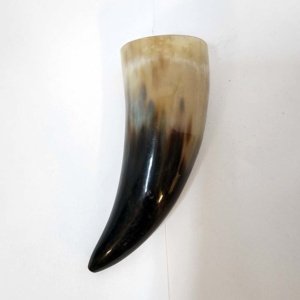 Small tan-black Steer Viking Drinking Horn 6.5-8 inches - Image 4