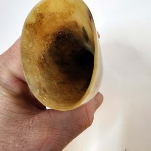 Small tan-black Steer Viking Drinking Horn 6.5-8 inches - Image 9