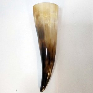 Small tan-black Steer Viking Drinking Horn 6.5-8 inches - Image 12